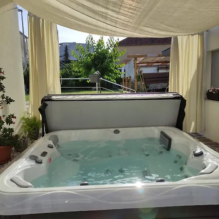 Villa House Tolesa *